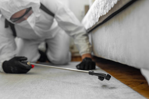Professional Termite Control technician working in Bay, AR