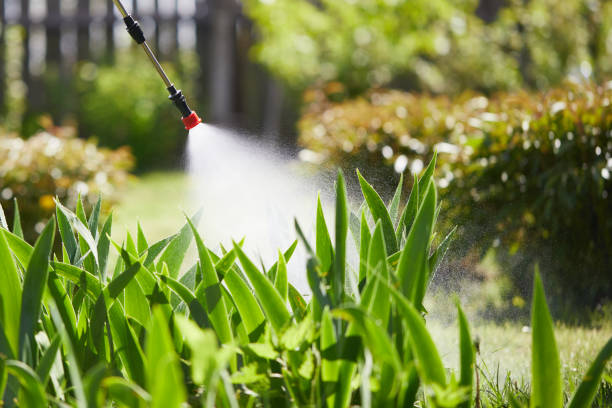24/7 Emergency Termite Control experts in Bay, AR